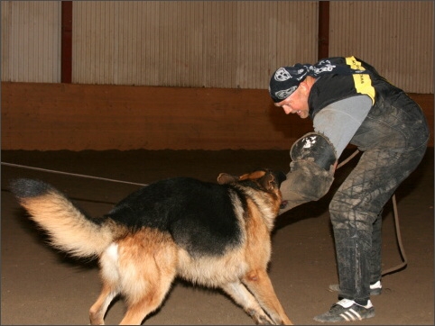 Training in Estonia 11/2007